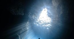 Under Water The underwater world is a fascinating place filled with a symphony of unique . One such is "Jass Under