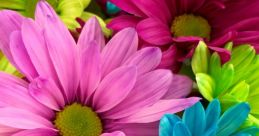 Bunt