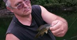 Fish Meme