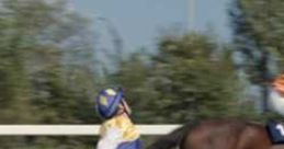 Jockey in vibrant racing attire running alongside a galloping horse, capturing the thrill of the Weetabix advert's energy.