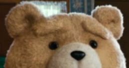 Ted