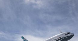 737