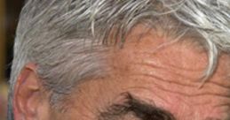 Prank Call : Gary Busey