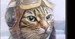 A quirky cat in a flight helmet humorously relays a communication call, blending cuteness with adventure.
