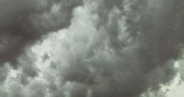 Viento