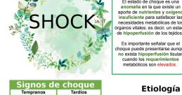 Choque