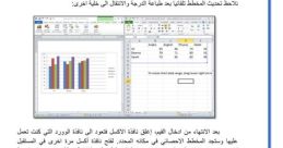 Arabic 2010