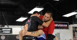 Luta Luta - a word that evokes images of intense physical combat and fierce competition. The of this word alone can send