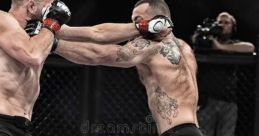 Mma Fight