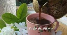 Boa Tarde
