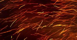 Embers