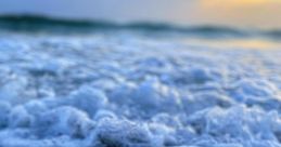 The Tide