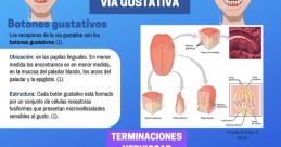 Gusto