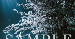 Aimer Cover