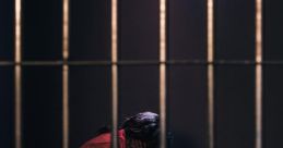 To Jail
