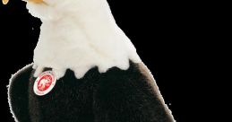 Brid