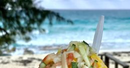 Conch