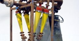 Dorr