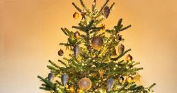 Kerstboom