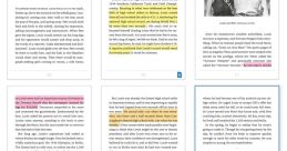 Page Flip