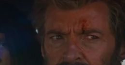 Wolverine Aka Logan