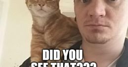 Did You See That