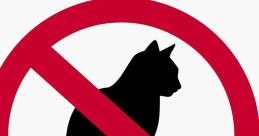 Cat No