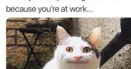 Unfunny