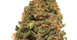 Good Kush