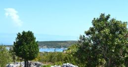Iloivg