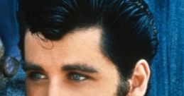 Danny Zuko