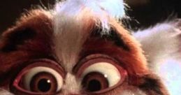 Gizmo Gremlin