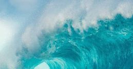 Sea and Ocean Nature