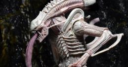 Aliens Aliens clips and quotes. #aliens #mostly #go home #get back #night time #attack #hudson #bill paxton #red light