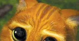 Adorable orange cat with big, pleading eyes, evoking a sense of longing and desire. Perfect for discussions on begging behavior.