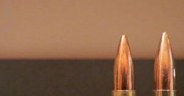 Bullets