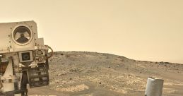 Curiosity