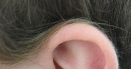 Ears