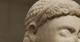 Head