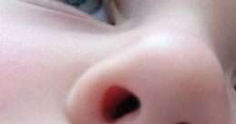 Nose
