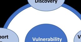 Vulnerability