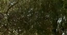 A-Wax character in "Menace II Society" displaying swagger under a tree in an urban park setting.