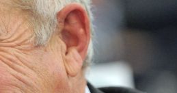 Godfrey Bloom