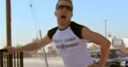 Terry Bernadino - Reno 911! Nick Swardson’s Terry from Reno 911 .