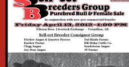 Random group bull