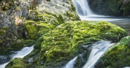 River, Stream and Waterfall