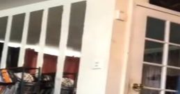 Person startled by a rat in a living room, embodying the "Oh S**t A Rat" meme reaction of surprise and humor.