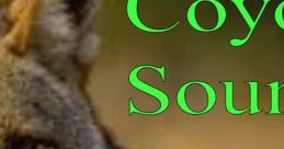 Coyote Calls