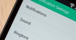 Vine - , Notification, ! Vine - , Notification, !