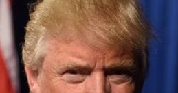President Donald Trump